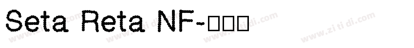Seta Reta NF字体转换